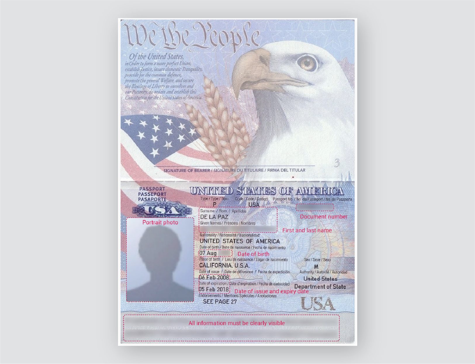 Пример сша. Американский паспорт макет. Американский паспорт пустой. Американский паспорт шаблон. Паспорт США чистый.